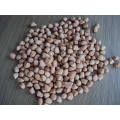 New Crop Good Quality Blanched Peanut Kernels